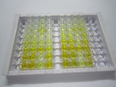 ELISA Kit for S100 Calcium Binding Protein A15 (S100A15)