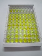 ELISA Kit for Coiled Coil Domain Containing Protein 3 (CCDC3)
