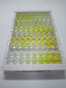 ELISA Kit for Coenzyme Q10 Homolog B (COQ10B)