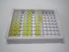 ELISA Kit for Meteorin Like Protein (METRNL)