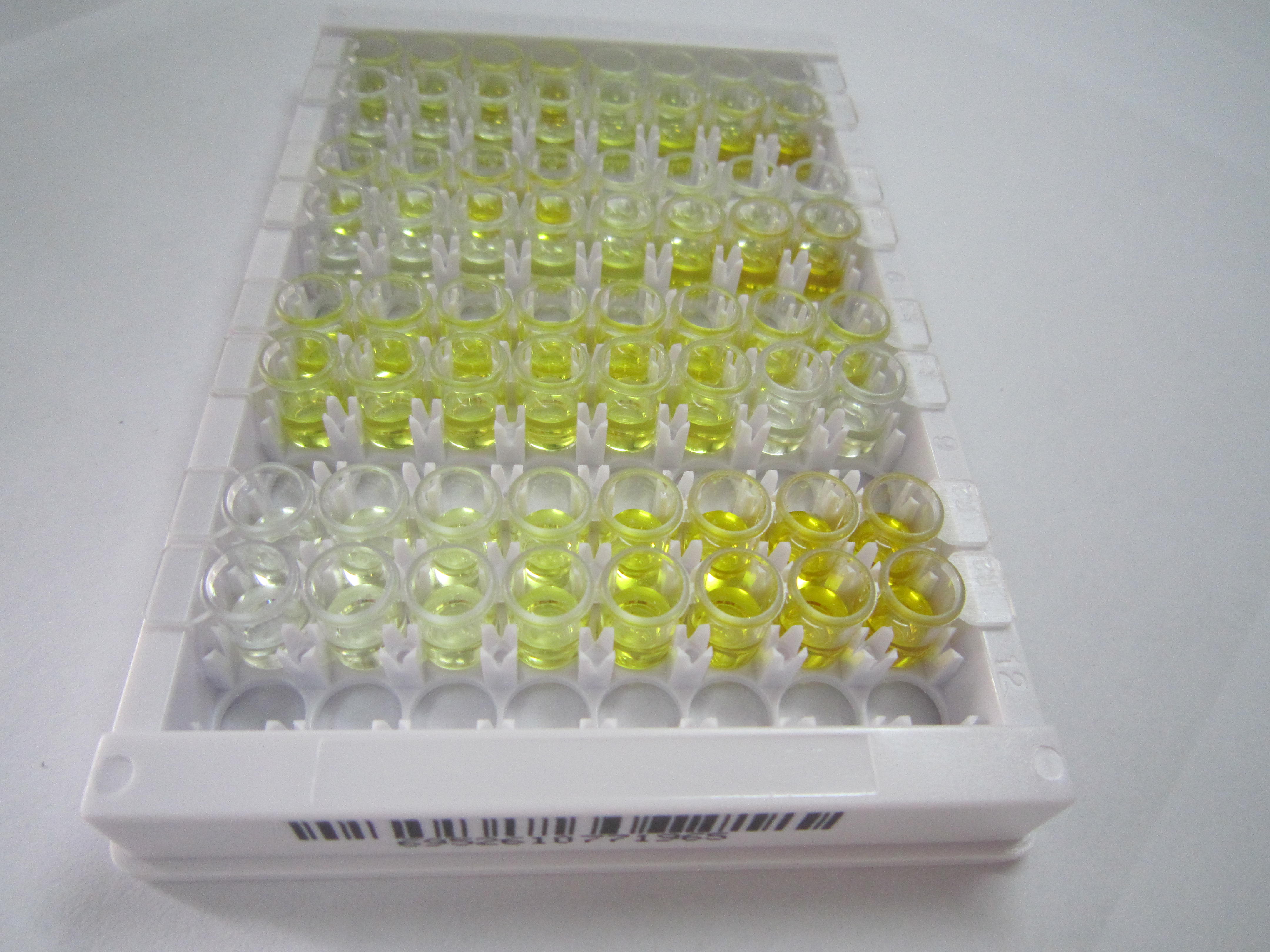 ELISA Kit for Angiopoietin Like Protein 8 (ANGPTL8)