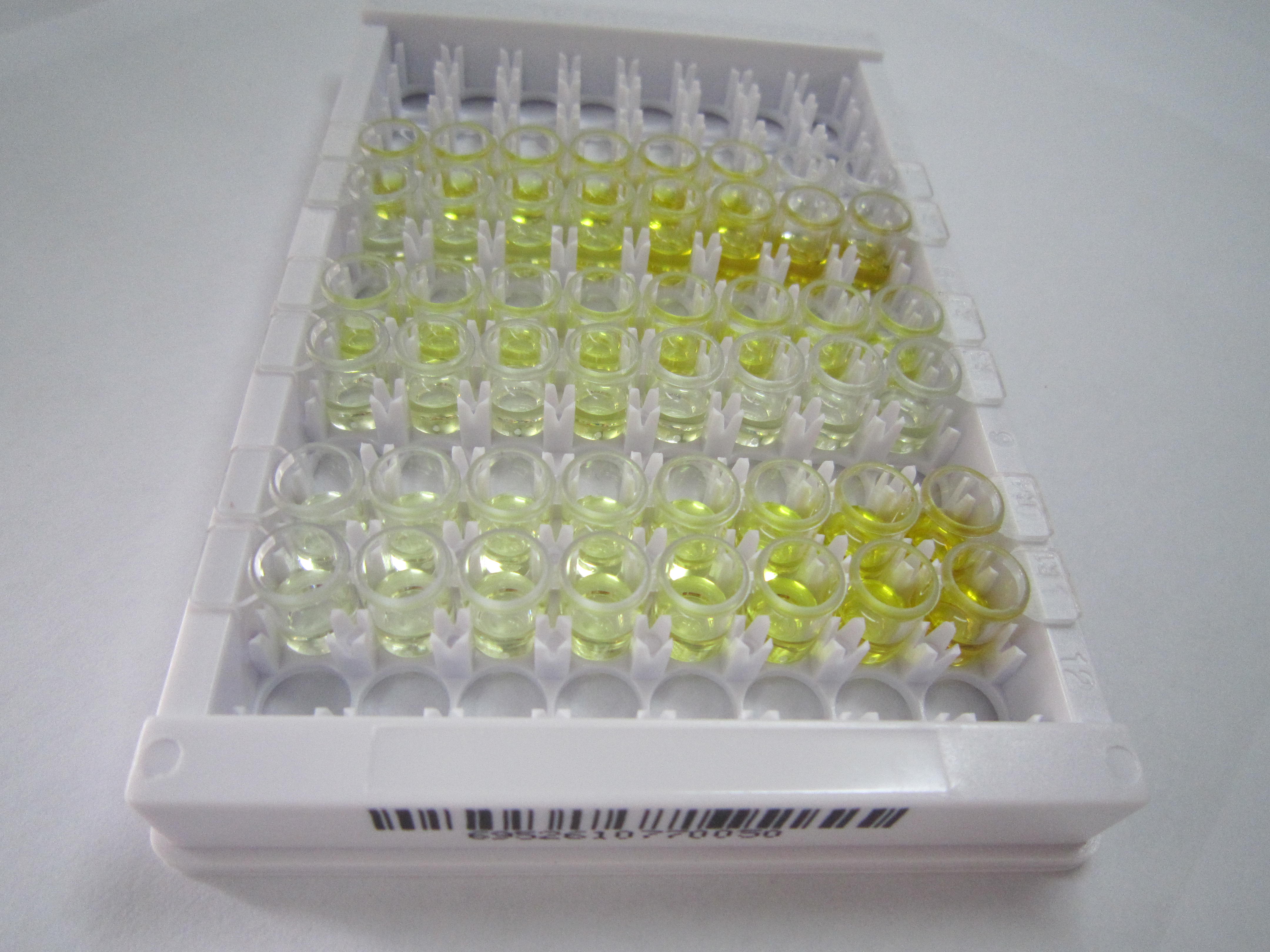 ELISA Kit for Angiopoietin Like Protein 8 (ANGPTL8)