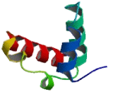ADP Ribosylhydrolase Like Protein 1 (ADPRHL1)
