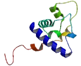 AT-Rich Interactive Domain Containing Protein 5B (ARID5B)