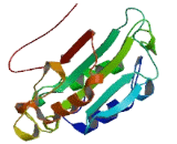 ATP/GTP Binding Protein Like Protein 1 (AGBL1)