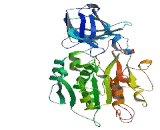 ATP/GTP Binding Protein Like Protein 2 (AGBL2)