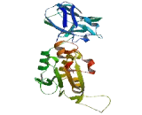 ATP/GTP Binding Protein Like Protein 5 (AGBL5)
