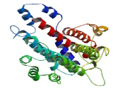 ATPase, H+ Transporting, Lysosomal 38kDa, V0 Subunit D1 (ATP6V0D1)