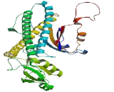 ATPase, H+ Transporting, Lysosomal 42kDa, V1 Subunit C2 (ATP6V1C2)