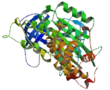 ATPase, H+ Transporting, Lysosomal 56/58kDa, V1 Subunit B2 (ATP6V1B2)