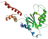ATPase Family, AAA Domain Containing Protein 1 (ATAD1)