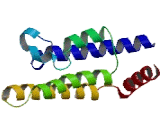 ATPase Family, AAA Domain Containing Protein 2 (ATAD2)