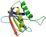 Abhydrolase Domain Containing Protein 10 (ABHD10)