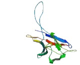 Adenomatosis Polyposis Coli Down Regulated 1 Like Protein (APCDD1L)