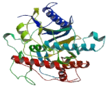Adenosine Deaminase Domain Containing Protein 1 (ADAD1)