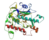 Adenosine Deaminase Domain Containing Protein 2 (ADAD2)