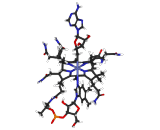 Adenosylcobalamin (AdoCbl)