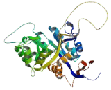 Amidohydrolase Domain Containing Protein 2 (AMDHD2)