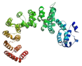 Ankyrin Repeat Domain Protein 20A2 (ANKRD20A2)
