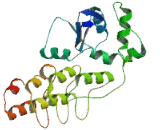 Ankyrin Repeat Domain Protein 34 (ANKRD34)
