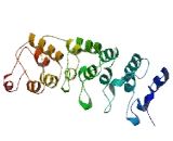 Ankyrin Repeat Domain Protein 34B (ANKRD34B)