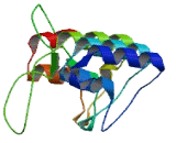 Ankyrin Repeat Domain Protein 35 (ANKRD35)