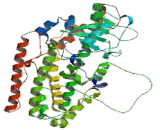 Arachidonate-12-Lipoxygenase, 12R Type (ALOX12B)