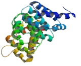Armadillo Repeat Containing Protein, X-Linked 1 (ARMCX1)