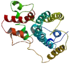 Asparagine Linked Glycosylation Protein 10 (ALG10)