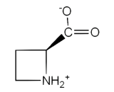 Azetidine-2-Carboxylic Acid (ACA)