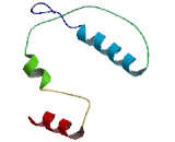 BEN Domain Containing Protein 2 (BEND2)