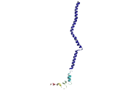 BEN Domain Containing Protein 5 (BEND5)