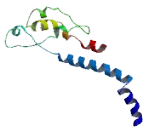 BEN Domain Containing Protein 6 (BEND6)