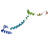 BRO1 Domain And CAAX Motif Containing Protein (BROX)