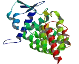 BTB/POZ Domain Containing Protein 19 (BTBD19)