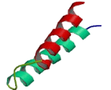 Basic Helix Loop Helix Domain Containing Protein B2 (BHLHB2)