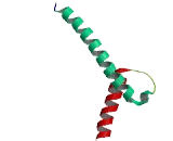 Basic Helix Loop Helix Domain Containing Protein A9 (BHLHA9)