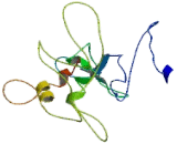 Beta-1,3-Galactosyltransferase 1 (b3GALT1)