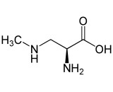 Beta-Methylamino-L-Alanine (bMAA)