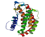 Bromodomain And PHD Finger Containing Protein 3 (BRPF3)