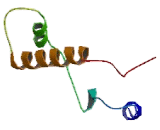 Bystin Like Protein (BYSL)