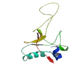 C-Type Lectin Domain Family 11, Member A (CLEC11A)