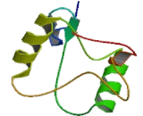 C-Type Lectin Domain Family 2, Member A (CLEC2A)