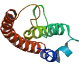 C1D Nuclear Receptor Corepressor (C1D)