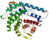 C3 And PZP Like Alpha-2-Macroglobulin Domain Containing Protein 8 (CPaMD8)
