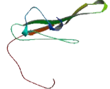 CD99 Molecule Like Protein 2 (CD99L2)