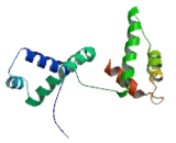 CENPB DNA Binding Domain Containing Protein 1 (CENPBD1)
