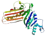 COBW Domain Containing Protein 1 (CBWD1)