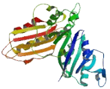 COBW Domain Containing Protein 5 (CBWD5)