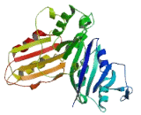 COBW Domain Containing Protein 6 (CBWD6)